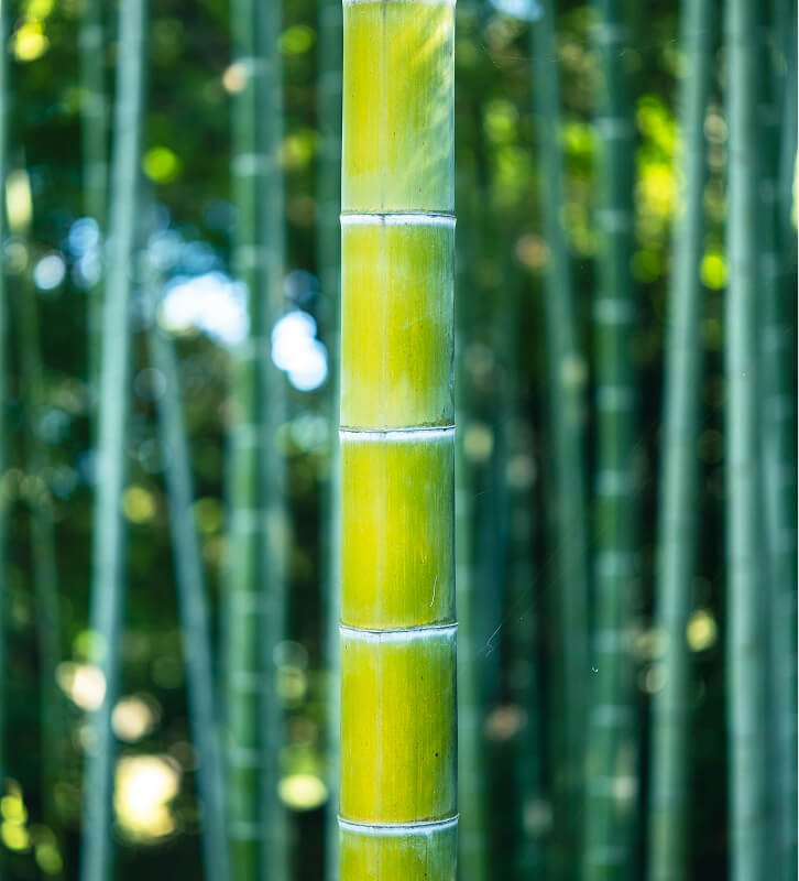 Ethical Sourcing@2x Ethical Sourcing