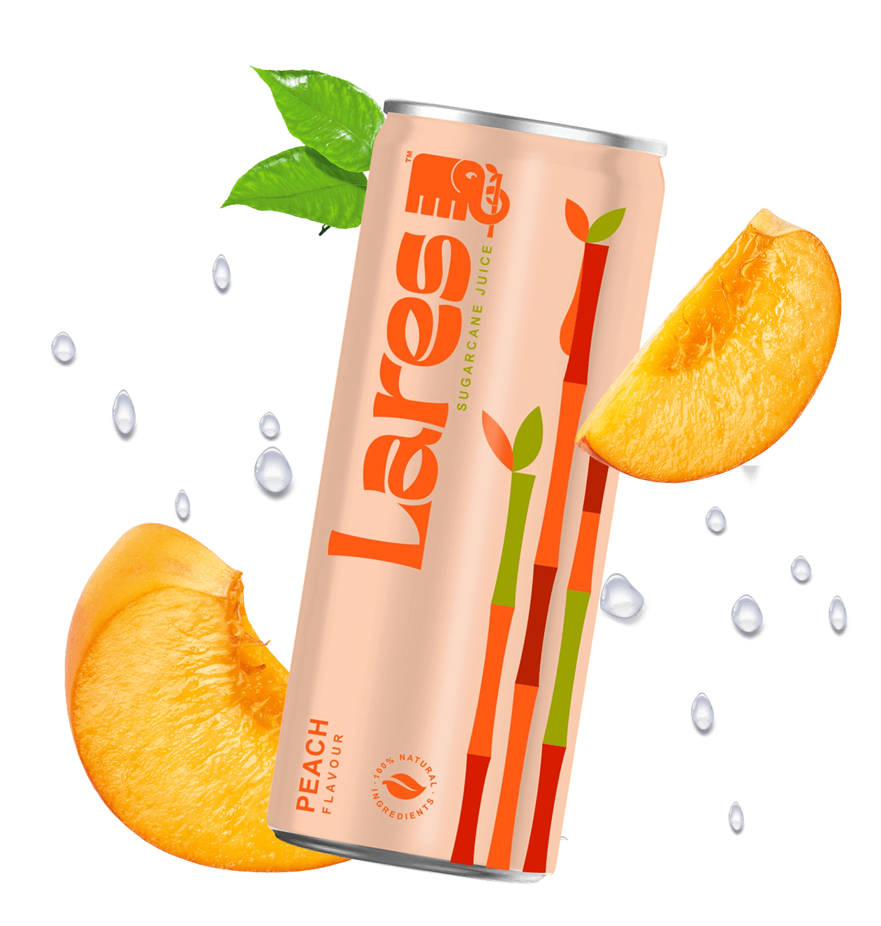 Explore Flavours@2x Explore Flavours