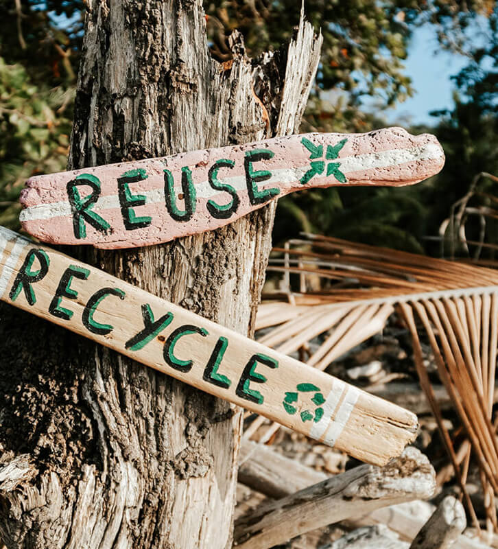 Sustainable Choices@2x- Sustainable Choices